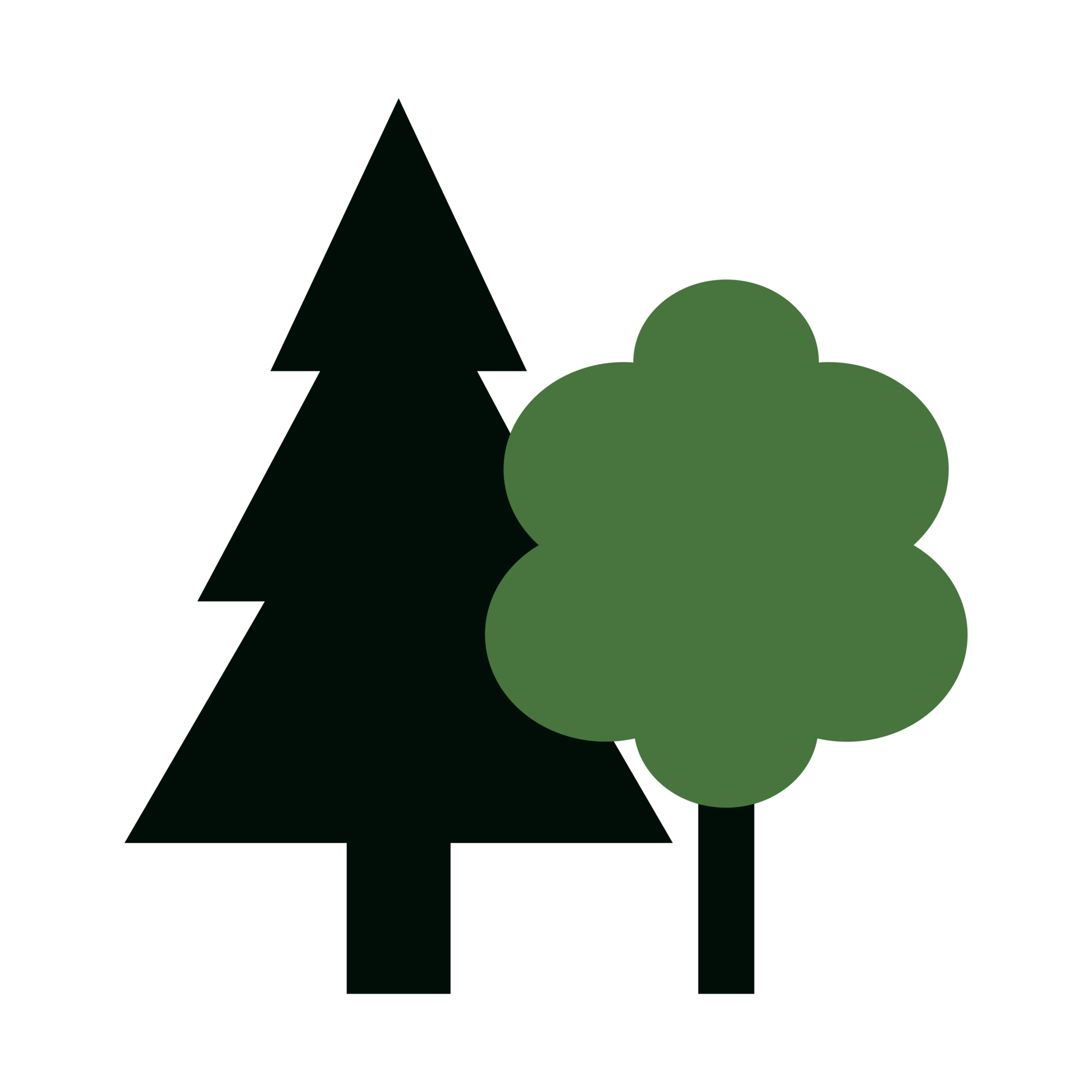 Baum_Fakt_1_400x400.png Baum_Fakt_1_400x400.png