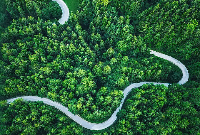 csm_Umweltbewusst-drucken_Header_b996109978.jpg Straße, die sich durch einen Wald schlängelt; aus der Vogelperspektive